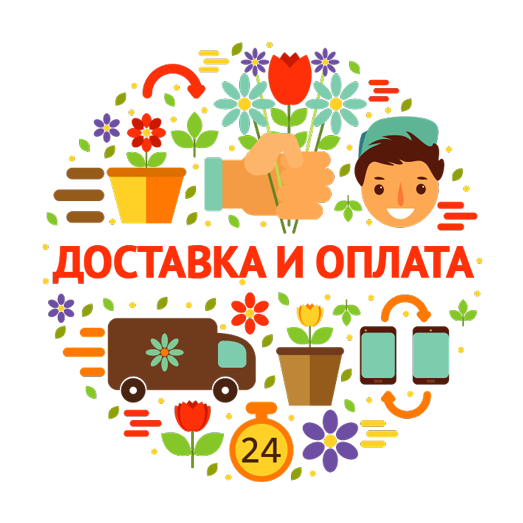 доставка цветов из магазина Кактус-клуб